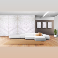 Vicoustic Flat Panel VMT 120cm Patterns variant 3