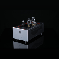 SW1x MPA V “Atlas” PP Mono Power Amplifier variant 9