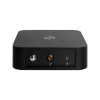 Silent Angel Genesis GC variant 8