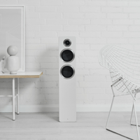 Argon Audio FORTE A55 MK2 variant 24