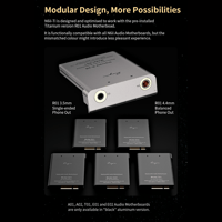 Cayin N6ii-Ti variant 6