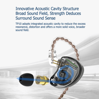 TRIPOWIN TP10 variant 4