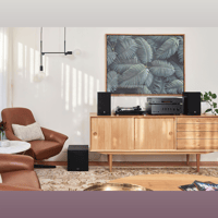 Yamaha TT-S303 variant 6