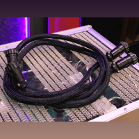 Audio Research Reference Phono 10 variant 6