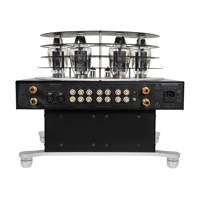 Tsakiridis Devices Reference Amplifier variant 4