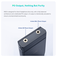 Cayin N6iii R202 variant 9