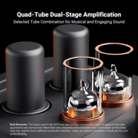 Fosi Audio Fosi Audio GR70 Tube Headphone Amp variant 3