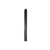 Steinway Lyngdorf BWS-110 variant 4