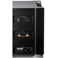 Bricasti Design M28 Monoblock Amplifier variant 3