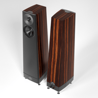 YG Acoustics Talus variant 8