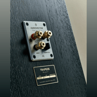 Audiovector Trapeze Reimagined variant 9