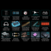 Cayin C9ii variant 2