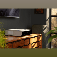 Linn Selekt DSM variant 3