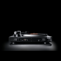 Dual CS 518 variant 6