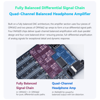Cayin N6iii R202 variant 6