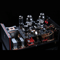SW1x MPA V “Atlas” PP Mono Power Amplifier variant 7