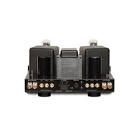 Cary Audio CAD-300SEI Integrated Amplifier variant 4