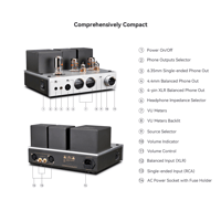 Cayin HA-2A variant 14