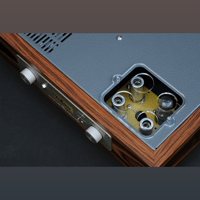 ThivanLabs P20 MM/MC TUBE PHONO PREAMPLIFIER variant 8