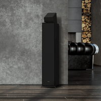 Klipsch R-600F variant 18