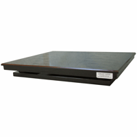 Gingko Audio Small Cloud 11 variant 2