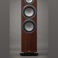 Audiovector QR 7 SE variant 6