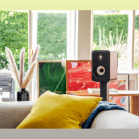 Denon Signature Elite ES15 variant 8