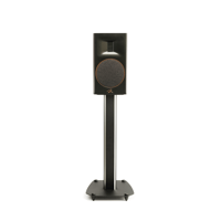 MartinLogan Motion XT B100 variant 11