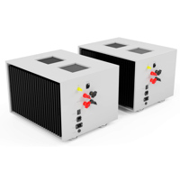 Pilium Audio Kratos Mono Power Amplifier variant 4