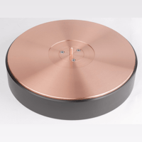 TW-Acustic Raven AC variant 4