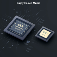 Arylic S50 Pro+ Wireless Stereo Preamp With aptX HD & ESS 9023 DAC variant 3