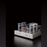 Allnic/ZL Technologies A-2000 25th variant 2