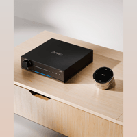 Arylic LP100 HiFi Music Streamer variant 9