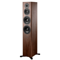 Dynaudio Evoke 50 variant 18