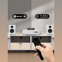 Arylic LP10 AirPlay 2 and Google Cast Music Streamer variant 8