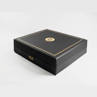 DITA Audio Dream XLS variant 5