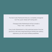 Cayin T201 Audio Motherboard variant 3