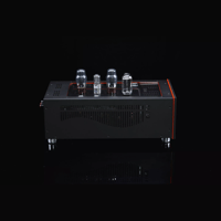 SW1x MPA I “Neptune” PP Mono Power Amplifier variant 8
