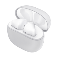 Edifier W100T variant 3