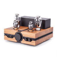Feliks Audio Envy variant 2