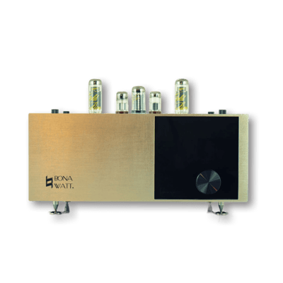 Bonawatt Tamesis - integrated amplifier