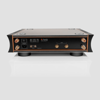 Aavik Acoustics Aavik P-288 / Power Amplifier variant 3