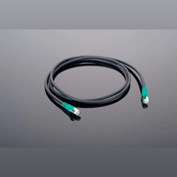 Transparent Cable Hardwired Ethernet variant 1