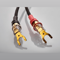 Jorma Audio Unity variant 11