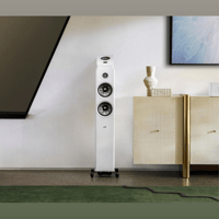 Polk Audio Reserve R600 variant 8