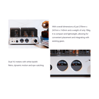 Cayin HA-2A variant 11