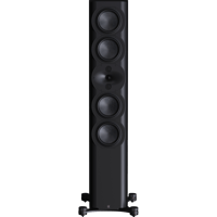 Perlisten R7t variant 3