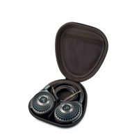 Focal Hadenys variant 4