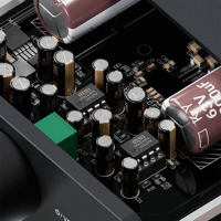 Fosi Audio SparkoS Labs SS3602, Burson V7, MUSES02, OPA2134PA variant 13