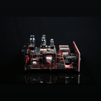 SW1x AMP III “Trinity” Integrated Amplifier variant 13
